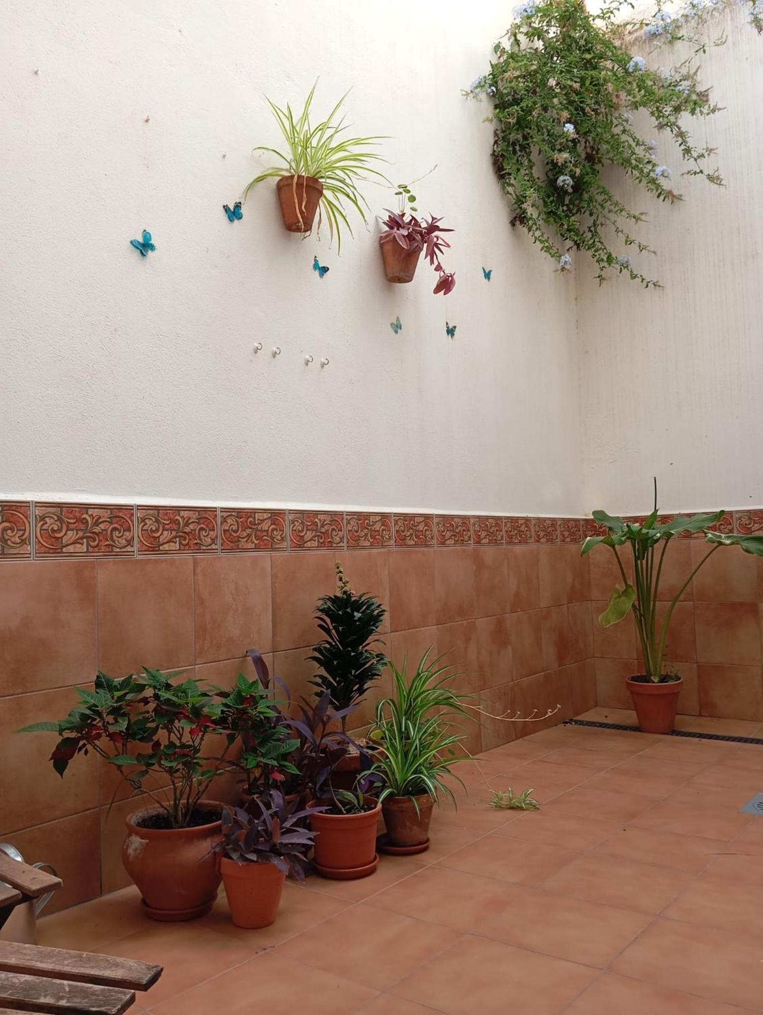 Apartamento Amapola Málaga Extérieur photo